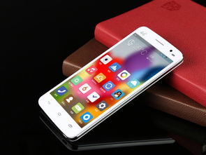 邦華TL1000風(fēng)尚白移動(dòng)4G手機(jī) 非合約機(jī)實(shí)用之選